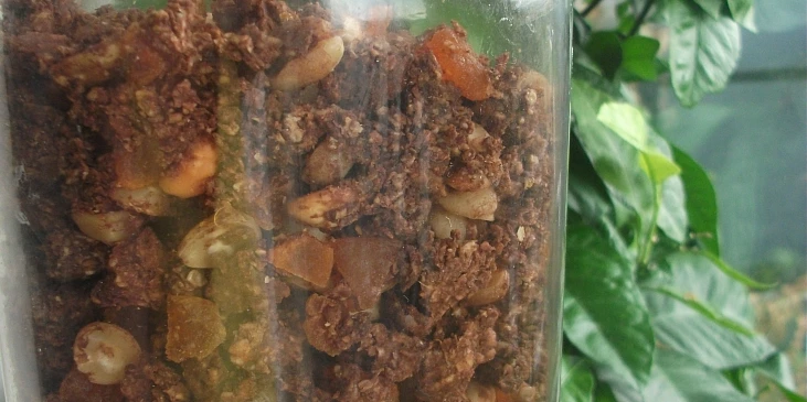 Pomerančovo-kakaová granola
