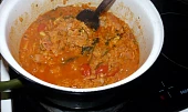 Španělská čočka