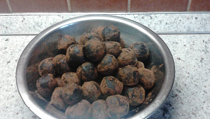 Truffle