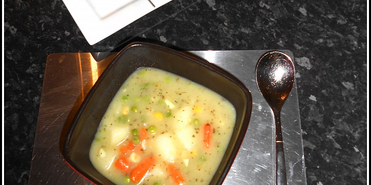 Bramborová polévka bez tuku a hub (velmi hustá) (Hotová polévka)