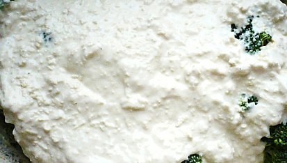Brokolice s tofu