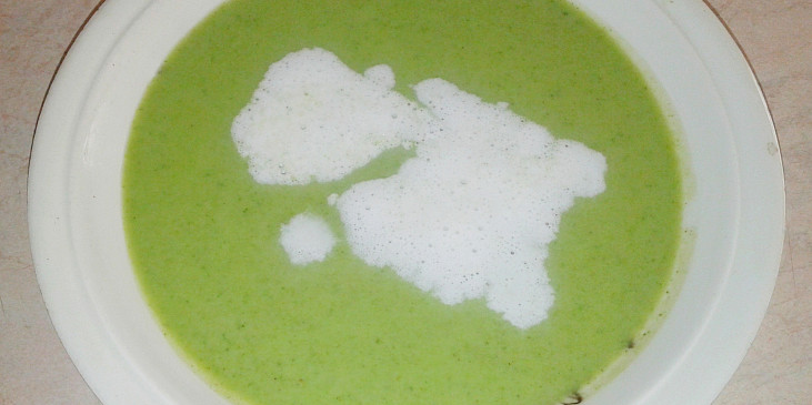 Brokolicová polévka (moje první brokolicová polívečka :-))