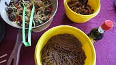 CHOP SUEY (čína z wok pánve) se soba nudlemi