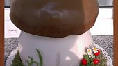 Dort Hřib, 8,9 kg