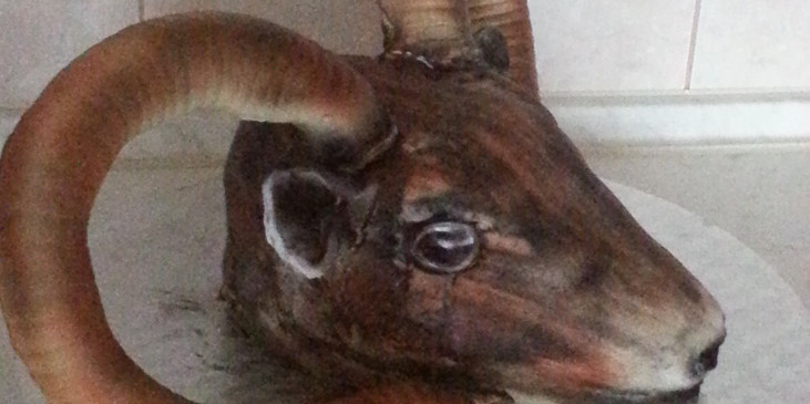 Mufloní hlava profil