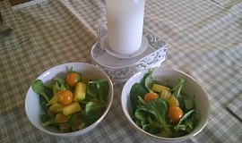 Polníčkový salát s ovocem