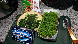 Šmakounova pomazánka s bylinkami a sardinkami