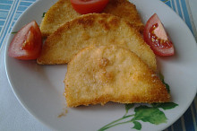 Vatovec obrovský