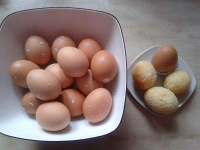 Bábovka ve vaječných skořápkách (bábovka pečená ve vaječných skořápkách)