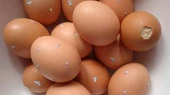 Bábovka ve vaječných skořápkách, bábovka pečená ve vaječných skořápkách