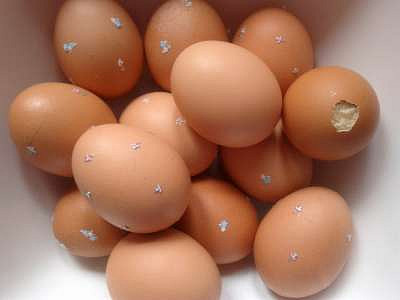 bábovka pečená ve vaječných skořápkách