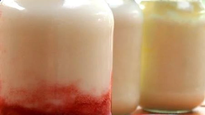 Domácí jogurt