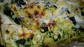 Lasagne s medvědím česnekem, kopřivami a nivou