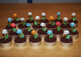 Muffiny Květináče