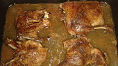 Pomalá kachna
