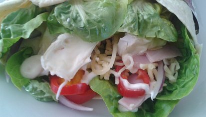 Tortilla s hermelínem a česnekovou majonézou