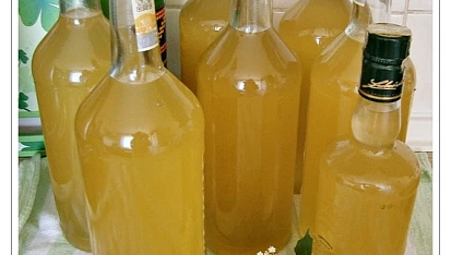 Bezový sirup z květů černého bezu-kosmatice, 10.6.2015