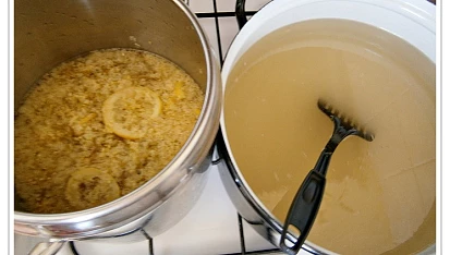 Bezový sirup z květů černého bezu-kosmatice, 10.6.2015