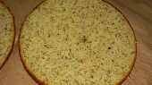 Dortový korpus základní, ořechový