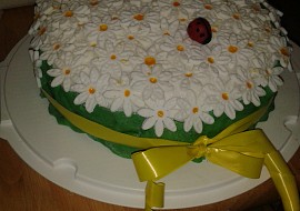 Kopretinový dort