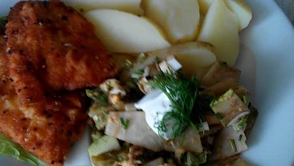 Kuřecí řízek na citrónovém pepři se salátem z kedlubny a čínského zelí