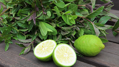Mátový "Mojito" sirup
