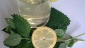 Meduňkový sirup, Meduňkový sirup