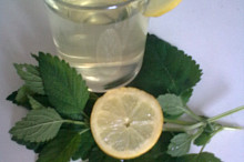 Meduňkový sirup