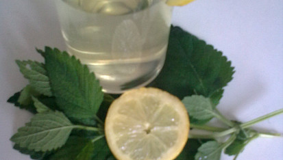 Meduňkový sirup, Meduňkový sirup