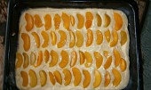 Miluščin křehký koláč s ovocem