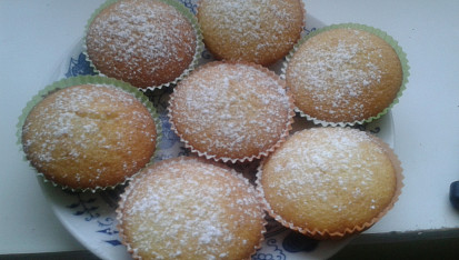 Mini Muffiny