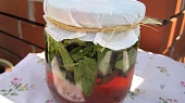Nevařený jitrocelový sirup