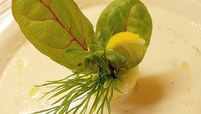 Slavnostní okurková polévka s limetkovým olejem (studená), Další způsob dekorování polévky