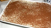 Tiramisu Černý pes