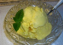 Vanilková zmrzlina z 1000 receptů