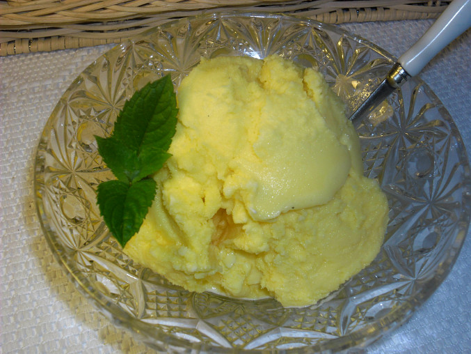 Vanilková zmrzlina z 1000 receptů