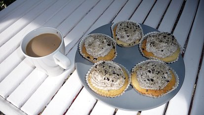 WothMind cupcakes