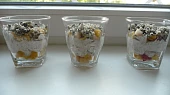 WothMind cupcakes