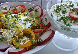 Zeleninový salát se smetanou a řeřichou.