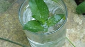 Bylinková sodovka