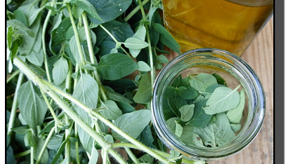 Bylinky v oleji (bazalka, oregano)