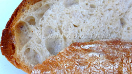 Chléb s pâte fermentée