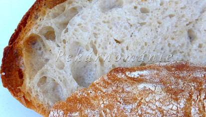 Chléb s pâte fermentée