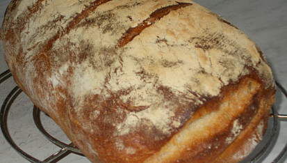 Chléb s pâte fermentée
