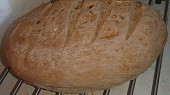 Chléb s pâte fermentée