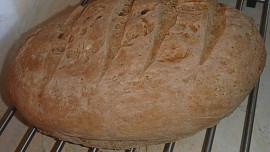 Chléb s pâte fermentée