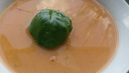 Italská rajčatová polévka LFR
