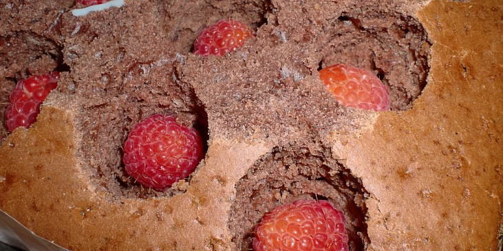 Kakaový koláč s pudinkem a malinami (Do vykrojených důlků vložíme maliny)