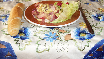 Letní   potěšení  -  ředkvičková smaženice