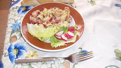 Letní   potěšení  -  ředkvičková smaženice
